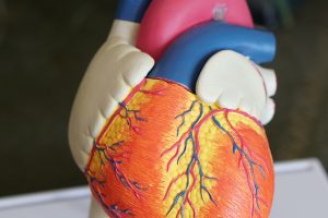 Antemergător pentru Copii: Ghid Complet de Alegere pe Tipuri și Vârstă