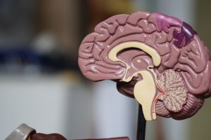Orășelul Copiilor București: Program, Prețuri și Sfaturi Practice